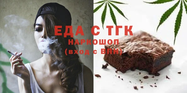 гашик Горняк