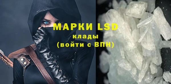 индика Вяземский