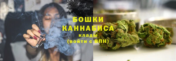 дживик Горнозаводск