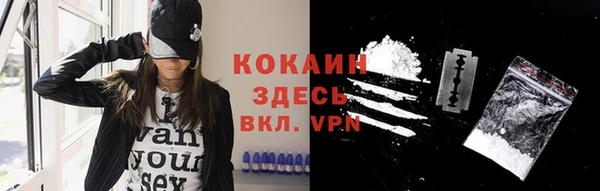 индика Вяземский