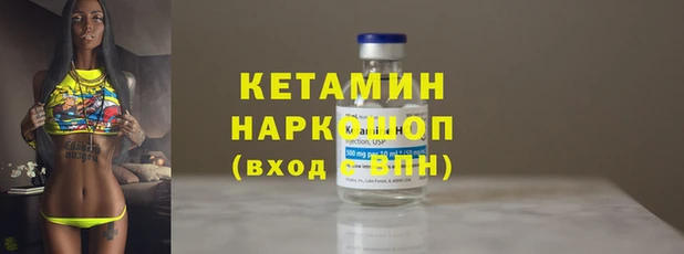 индика Вяземский