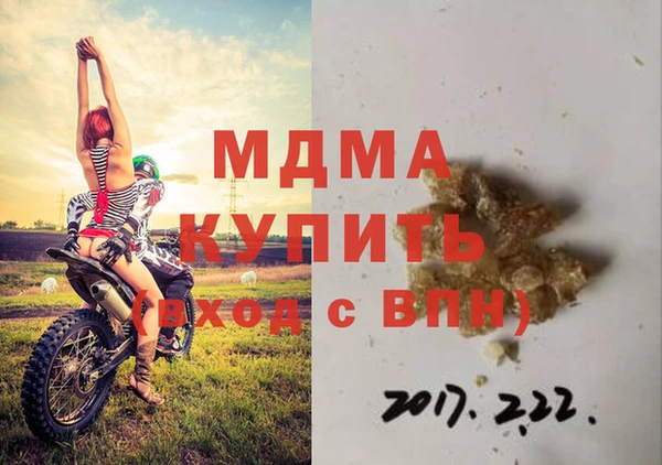 индика Вяземский