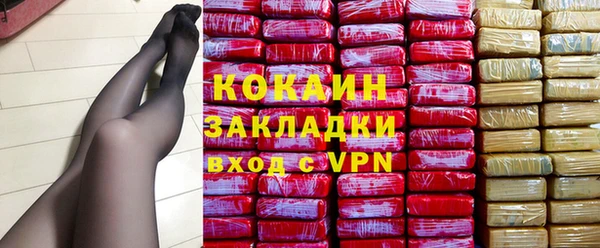 индика Вяземский