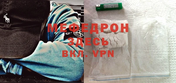 индика Вяземский