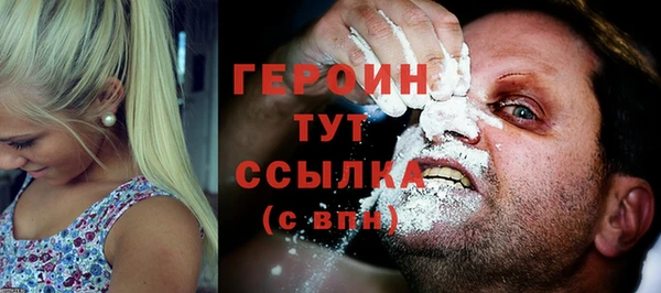 индика Вяземский