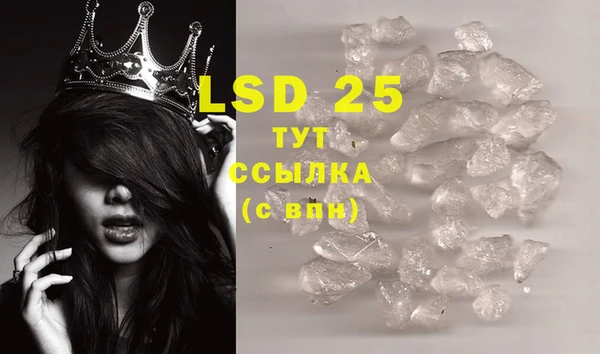 индика Вяземский